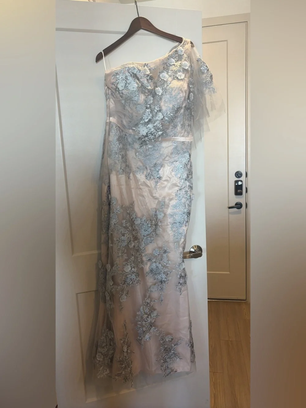 One-Shoulder Blush Gown with Silver Floral Appliqué